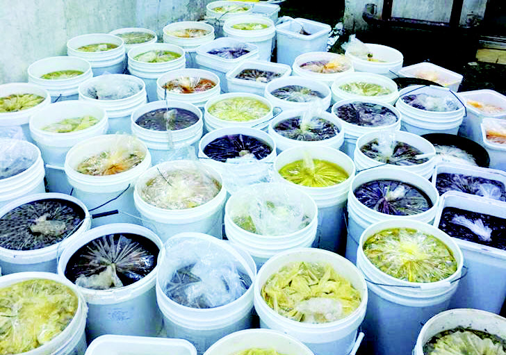 البلدية تتلف أكثر من 5 أطنان من المواد الغذائية الفاسدة في «مبارك الكبير»
